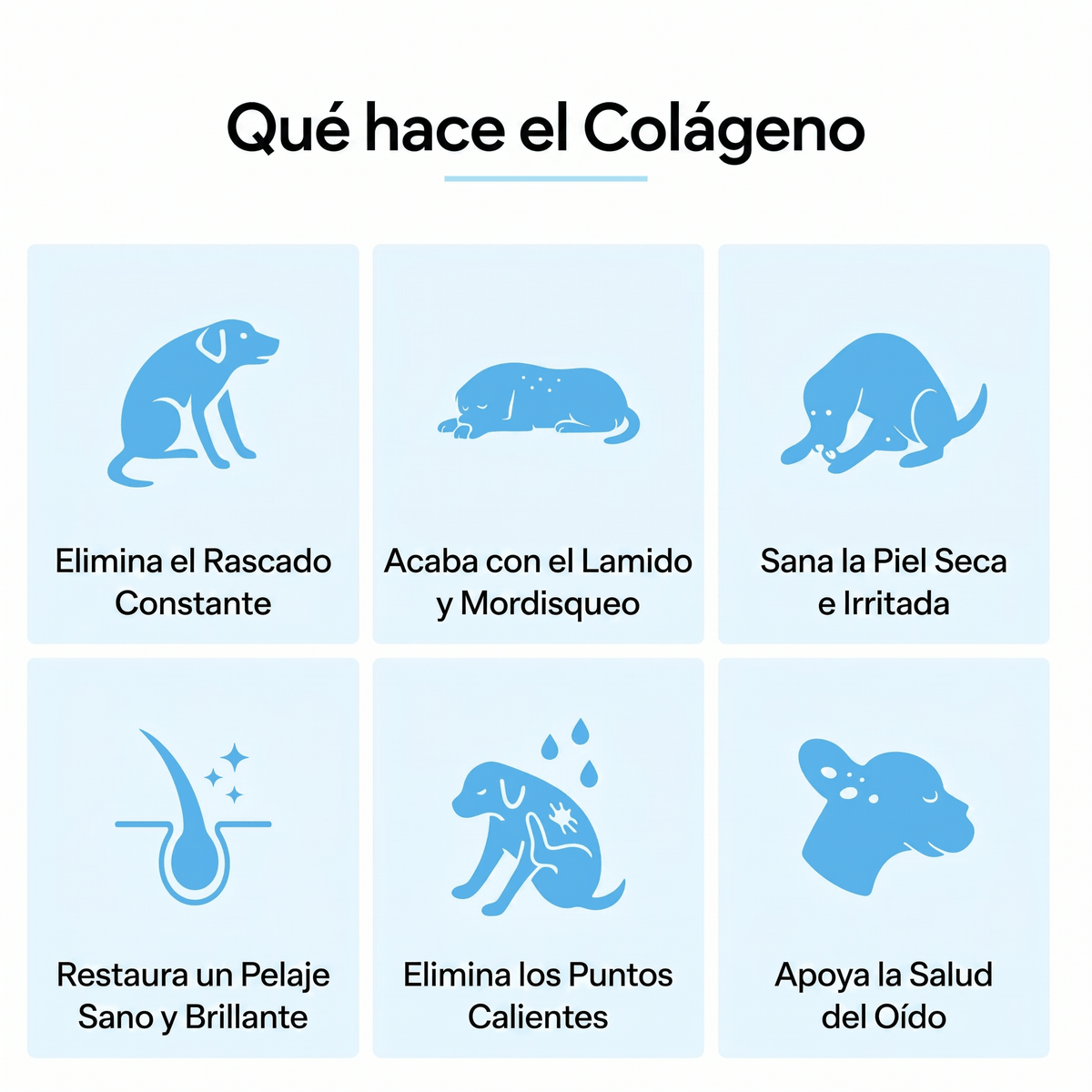 Vital Pets® | Colágeno Liquido