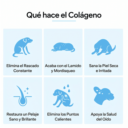 Vital Pets® | Colágeno Liquido